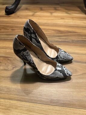 Pointed-Toe Snake-Print Heels in Black, Grey and White